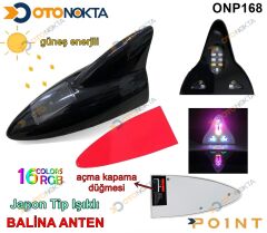 BALİNA ANTEN PROFESYONEL JAPON IŞIKLI SİYAH POİNT
