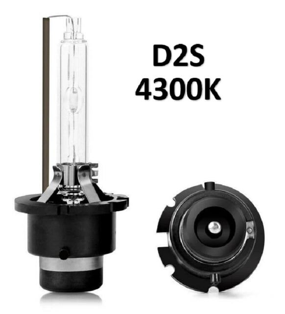 D2S 4300K XENON AMPULÜ