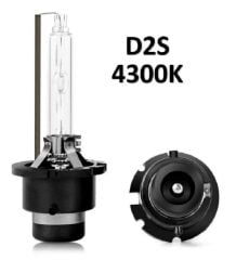 D2S 4300K XENON AMPULÜ