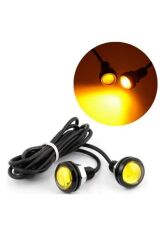 KARTAL GÖZÜ TURUNCU