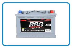 BSG